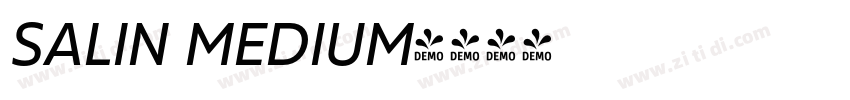 SALIN MEDIUM字体转换